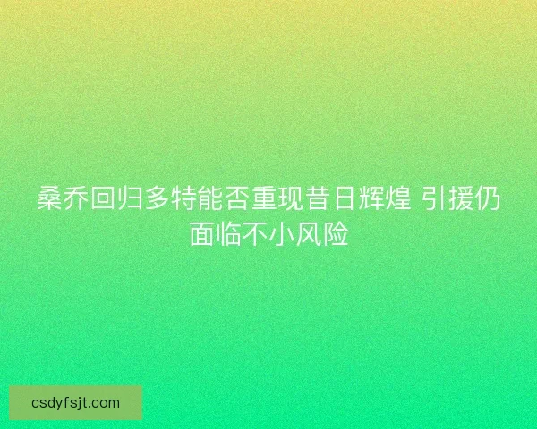 桑乔回归多特能否重现昔日辉煌 引援仍面临不小风险 桑乔回归多特能否重现昔日辉煌 引援仍面临不小风险