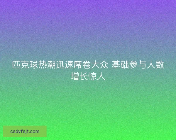 匹克球热潮迅速席卷大众 基础参与人数增长惊人 匹克球热潮迅速席卷大众 基础参与人数增长惊人