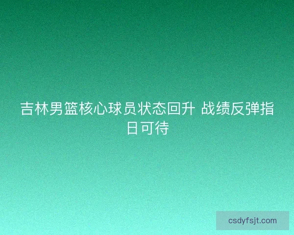 吉林男篮核心球员状态回升 战绩反弹指日可待 吉林男篮核心球员状态回升 战绩反弹指日可待