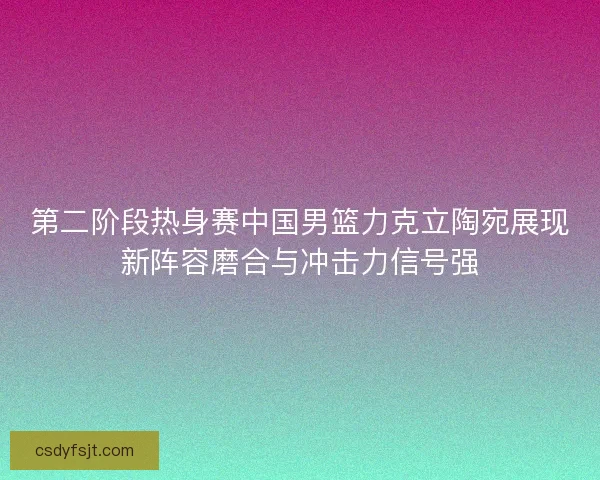 第二阶段热身赛中国男篮力克立陶宛展现新阵容磨合与冲击力信号强 第二阶段热身赛中国男篮力克立陶宛展现新阵容磨合与冲击力信号强